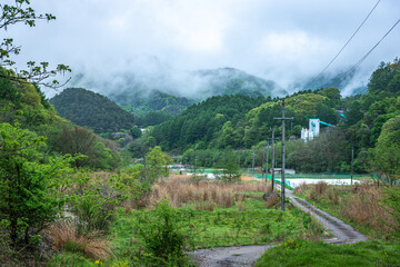 長野県南牧村の緑深い山里と霧、5月の新緑と梅雨のような湿気の風景
