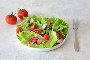 Fresh Green Salad with Tomatoes and Red Onion on a White Plate