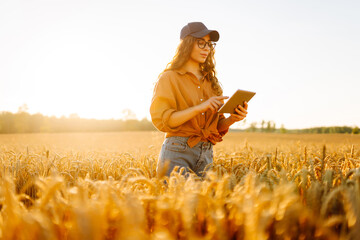 A female farmer stands in a wheat field, holding a digital tablet. A young female agronomist...