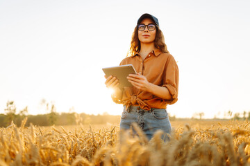 A female farmer stands in a wheat field, holding a digital tablet. A young female agronomist...