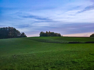  Dusk Field by the Forest Edge