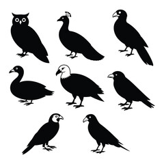 Naklejka premium Collection of seven black bird silhouettes on a white background peacock crow