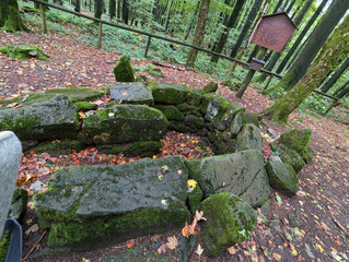 Wald Natur, Laubwald, Herbst, Pfad, Weg, Treppe, Stufen, Steine, Denkmal