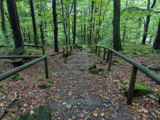 Wald Natur, Laubwald, Herbst, Pfad, Weg, Treppe, Stufen, Steine, Denkmal