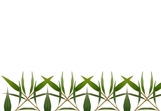 Green palm leaves arranged in decorative bottom border pattern, isolated on a transparent background