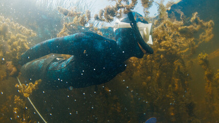 River spearfishing. Woman with speargun swims underwater in the murky river and explores area full of underwater plants