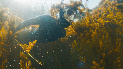 River spearfishing. Woman with speargun swims underwater in the murky river and explores area full of underwater plants