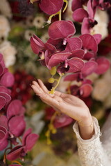 Woman's Hand Gently Touching Magenta Orchid Flowers
