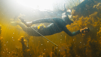 River spearfishing. Woman with speargun and torch slowly swims underwater in the murky river and explores area full of underwater plants