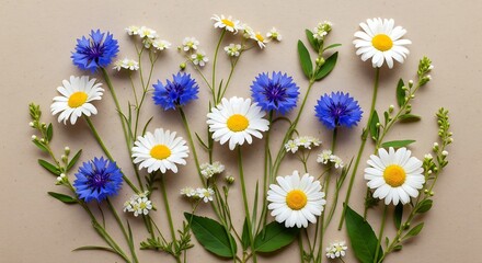 Obraz premium Elegant floral bouquets of daisies and cornflowers create a cheerful scene