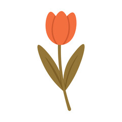 Simple orange tulip with leaves and stem, clean flat illustration perfect for cards and spring decor.