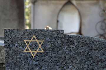 grabstein mit steinchen und goldenem davidstern
