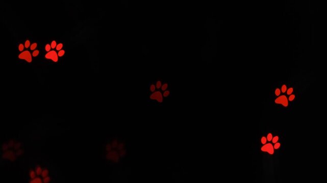 Red glowing pet paw prints appear randomly across a dark black background, forming a soft, abstract pattern reminiscent of animal tracks.