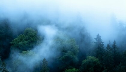 Mysterious misty forest atmosphere with swirling fog and dense trees, serene nature scene misty, trees. - Powered by Adobe