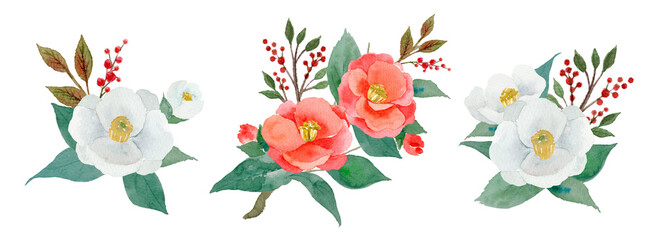 水彩で描いた紅白の椿と南天