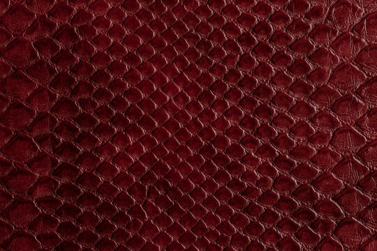 Beautiful red, pink bright snake or crocodile skin, reptile skin texture, multicolored close-up as a background.