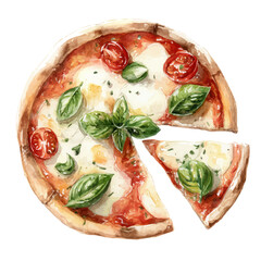 Pizza Margherita, watercolor drawing vector, isolated on a white background.