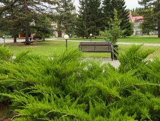 A bench in a city green park for relaxation.