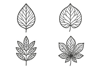 Four different botanical leaf outlines in minimalist line art for nature decoration