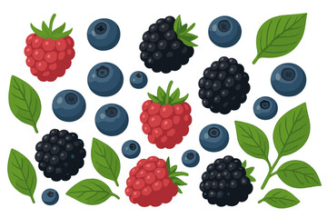 Fresh summer berries assortment including raspberries, blueberries, and blackberries with green leaves