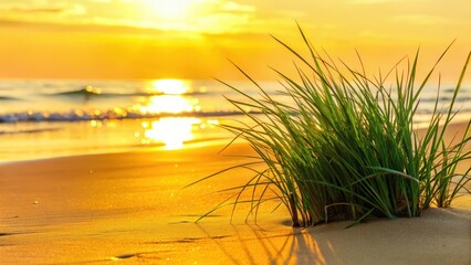 Golden light casts a serene glow on the sandy shore as morning dew glistens on beach grasses