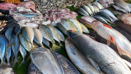 fresh fish on market stall