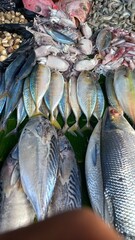 fish on the market