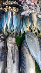 fresh fish at the market