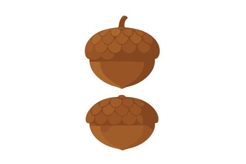 Stylized pair of brown acorns with caps isolated on white background symbolizing autumn harvest