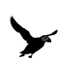 Close up of a delicate blue and white flower in a dark environment