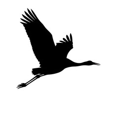 Abstract black background with subtle texture for graphic design and overlays