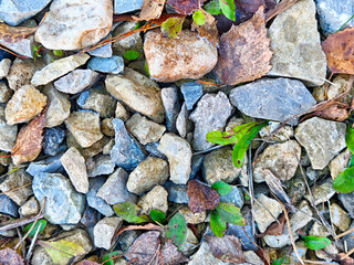 Close-up view of gravel stones and leaves on the ground in a natural setting with empty space for text