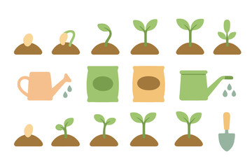 Stages of plant growth from seed to seedling with essential gardening tools and supplies