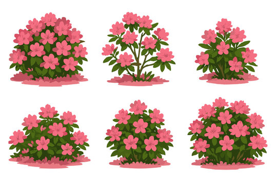 Blooming pink azalea and rhododendron bushes for landscaping design