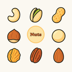 Nuts vector illustration
