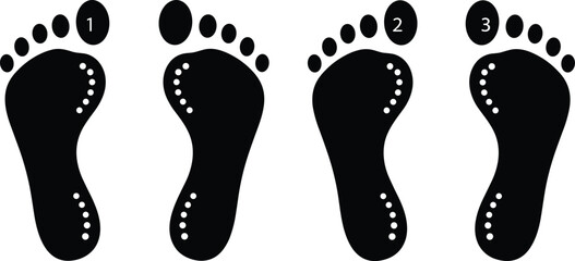 Four black vector footprint silhouettes with numbered toes and dotted reflexology points, illustrating human anatomy, foot massage, acupuncture, podiatry, health care