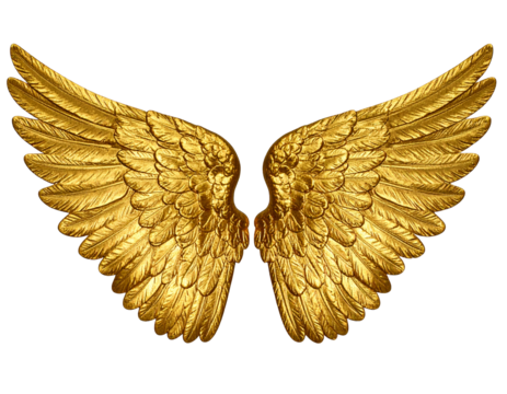 Golden wings isolated on a transparent background. - Powered by Adobe