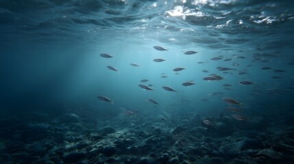 Fototapeta premium A school of fish swims gracefully through clear blue ocean water illuminated by sunbeams from above