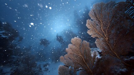 Divers explore a deep ocean reef with falling particles creating a snowy effect