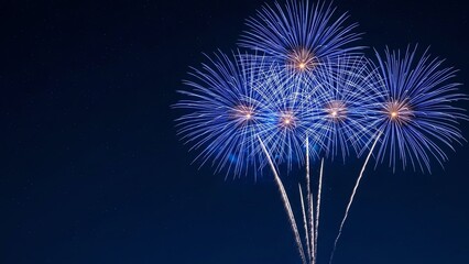 Blue fireworks display against dark night sky