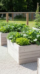 Raised garden beds filled with lush green vegetables