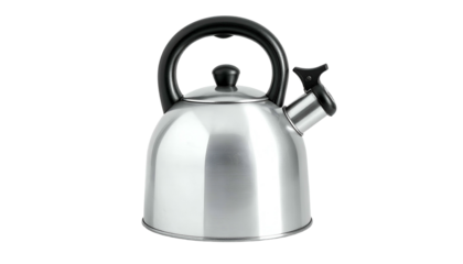 Polished steel kettle with black handle and spout