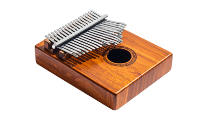 Thumb piano shows tines above wooden box w/ center hole