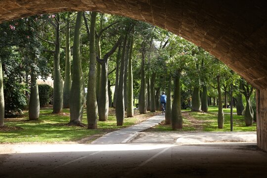 Valencia, Spain. Turia gardens (Jardin del Turia), linear park made in old riverbed.
