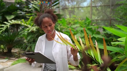 Botanist inspecting plants in a greenhouse while recording data on a tablet.