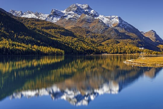 Mountain lake, reflection, mountains, larch forest, autumn discoloration, autumn, sunny, Silvaplana, Engadin, Switzerland
