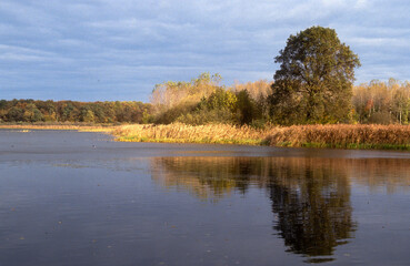 Etang de La Horre, Réserve naturelle nationale, Parc naturel régional de la forét d'Orient, 10, Aube, France
