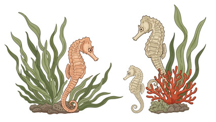 Naklejka premium Seahorse Serenity An Enchanting Marine Scene with Seahorses and Coral