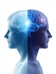 Obraz premium Illustration eines menschlichen Gehirns mit neuraler Aktivität – symbolisches Konzept für Neurologie und Kognition