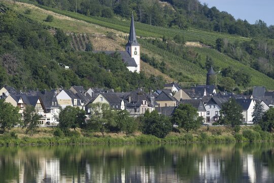 The wine village of Briedel on the Moselle, Cochem-Zell district, Rhineland-Palatinate, Germany